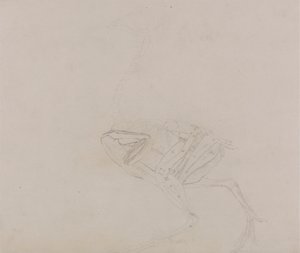 Dorking Hen Body, Lateral View (Study of the muscles of the body and limbs at a later stage of dissection) by George Stubbs