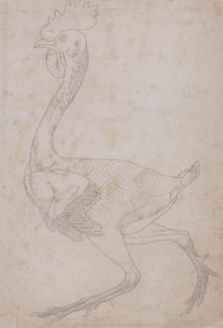 Fowl Body, Lateral View by George Stubbs