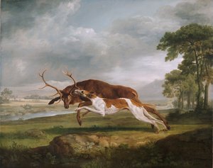 Hound Coursing a Stag by George Stubbs