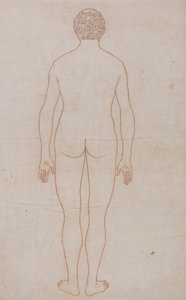 Human Body, Posterior View by George Stubbs