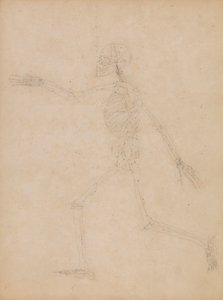Human Skeleton, Lateral View by George Stubbs