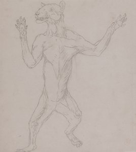 Study of a Tiger, Standing in Human Posture, from A Comparative Anatomical Exposition of the Structure of the Human Body with that of a Tiger and a Common Fowl by George Stubbs