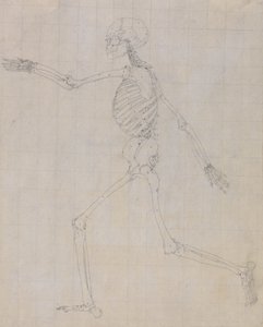 Study of the Human Figure, Lateral View, finished study for Table III, from A Comparative Anatomical Exposition of the Structure of the Human Body with that of a Tiger and a Common Fowl by George Stubbs