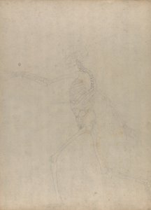 Study of the Human Figure, Lateral View, from A Comparative Anatomical Exposition of the Structure of the Human Body with that of a Tiger and a Common Fowl by George Stubbs