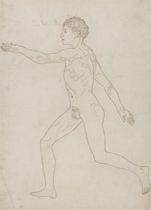 Study of the Human Figure, Lateral View by George Stubbs