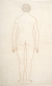 Study of the Human Figure, Posterior View, from A Comparative Anatomical Exposition of the Structure of the Human Body with that of a Tiger and a Common Fowl, c.1795-1806 by George Stubbs