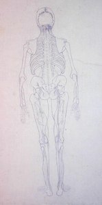 Study of the Human Figure, Posterior View, from A Comparative Anatomical Exposition of the Structure of the Human Body with that of a Tiger and a Common Fowl, c.1795-1806 by George Stubbs