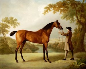 Tristram Shandy, a Bay Racehorse Held by a Groom in an Extensive Landscape, c.1760