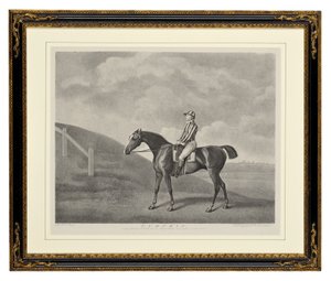 Pumpkin by George Townley Stubbs