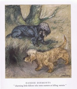 Dandie Dimonts
