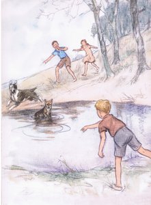 In the pond, from Pets Limited published by Collins