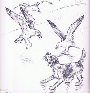 Rosie driving away the seagulls, from Mudlarks published by Collins by George Vernon Stokes