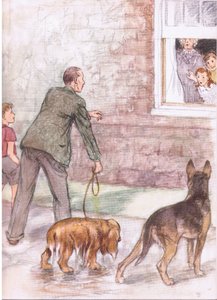The spaniels were dripping with mud and slime, from Pets Limited published by Collins