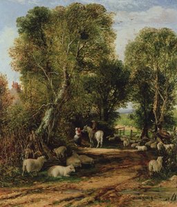 Pastoral Scene with Sheep