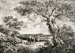 Two Cows in a Field