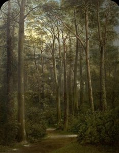 The Wilderness, 1857