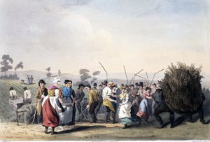 Rape Threshing, from The Costume of Yorkshire engraved by Robert Havell 1814