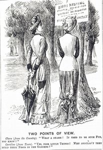 Cartoon Commenting on the Protection of Birds Act 1880 by George du Maurier