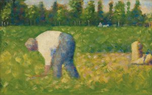 Peasant Working