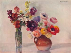 Anemones and Wallflowers