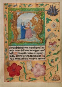 Initial H: The Visitation