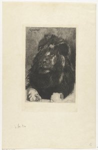 Head of a Lion