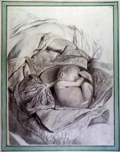 Representation of a Fetus of a Human Being in a Uterus