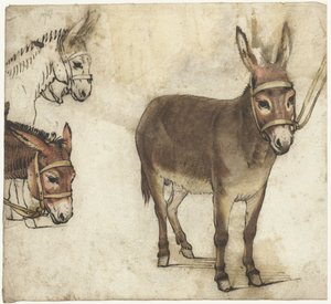 Study Sheet with Donkeys by Gerard ter Borch (I)
