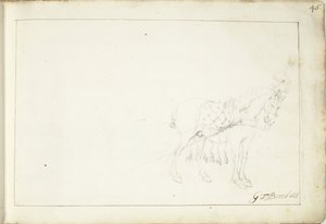 Horse, Facing Right