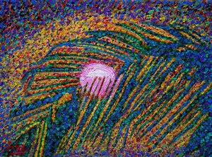 Cabo Moon by Gerhardt Isringhaus