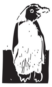 Penguin by Gerhardt Isringhaus