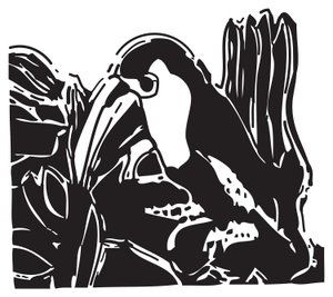Toucan by Gerhardt Isringhaus