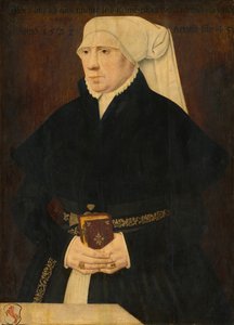 Portrait of a Lady by German 16th Century