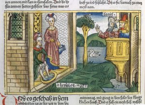 2 Samuel 11:1-5 David sees Bathsheba bathing, from the Nuremberg Bible