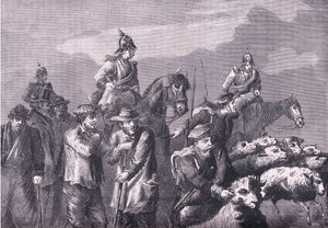 A foraging party