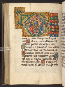 Add. 60629, f.43v Large framed initials in gold and colours with foliate and sometimes zoomorphic and anthropomorphic ornament by German School