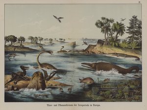 Animals and Plants of the Jurassic Period in Europe by German School