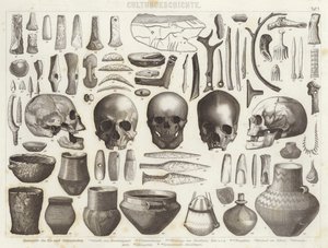 Artefacts from the Ice and Stone Ages (engraving) by German School