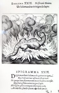 As the Salamander lives in fire, so also the Stone, Emblem XXIX from Atalanta fugiens by Michael Maier, 1617 by German School