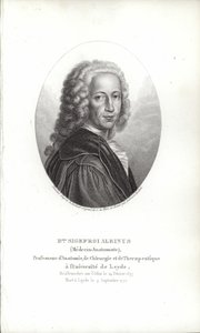 Bernhard Siegfried Albinus by German School