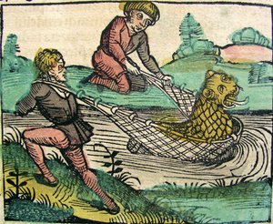 Catching a Lion Catfish Monster