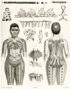 Diagram showing Polynesian Jewelry, ornaments and tattoo designs, 1888