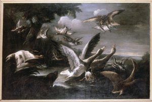 Eagle, Wild Geese and Dogs by German School