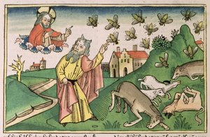 Exodus 8 20-32 The Seven Plagues of Egypt: Moses and the swarm of flies, from the 