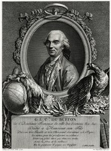 George Louis Leclerc Count of Buffon by German School