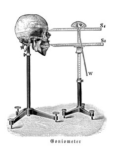 Goniometer Measuring Human Skull by German School
