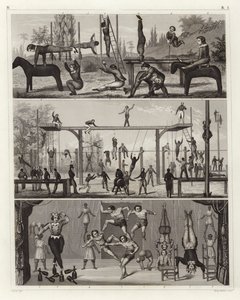 Gymnastics and acrobatics by German School
