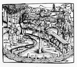 Happy husbandsmen tending bees, illustration from the Georgics by Virgil, book IV, from Sebastian Brants edition by German School
