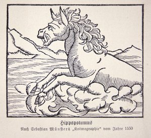 Hippopotamus from Sebastien Münster