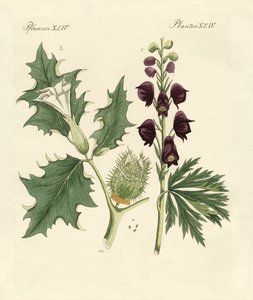 Indigenous Poisonous Plants